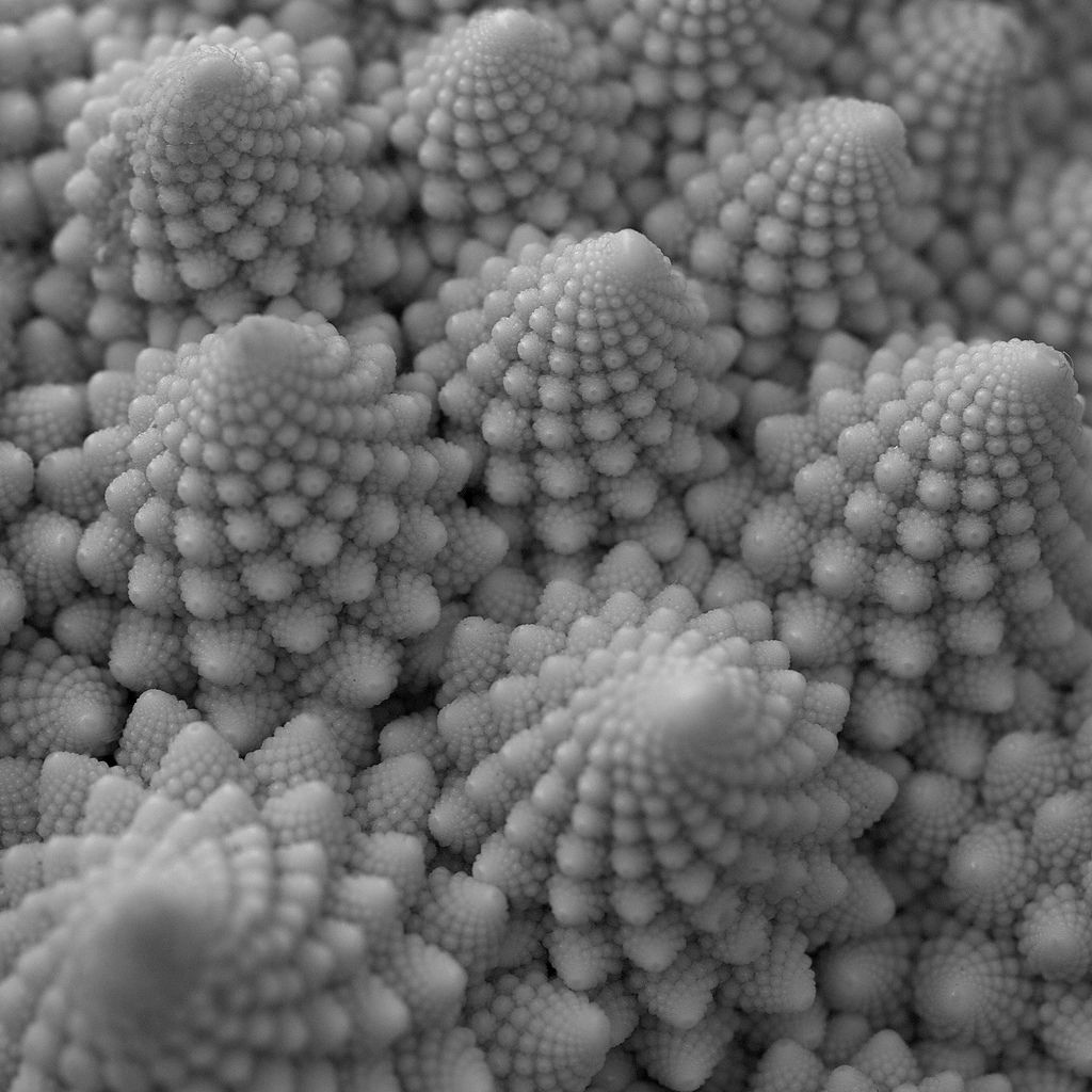 Romanesco